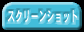 �X�N���[���V���b�g